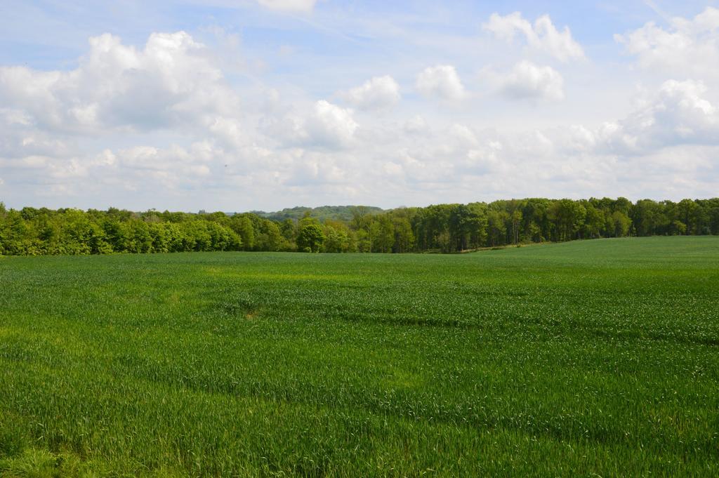 مبيت وإفطار Cléres La Grange Des Marettes المظهر الخارجي الصورة